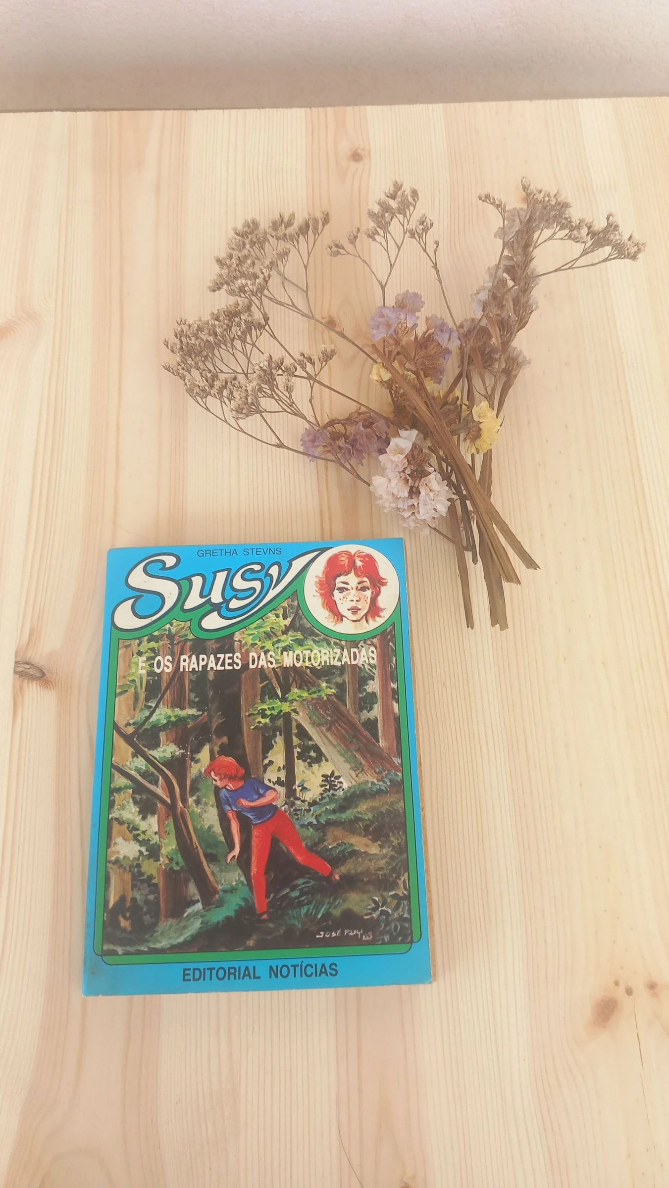 Susy e os Rapazes das Motorizadas | Gretha Stevns